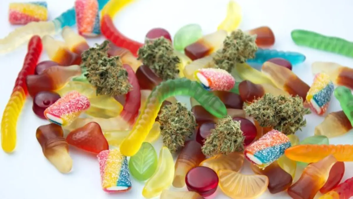 Cannabis-Infused Candy Production