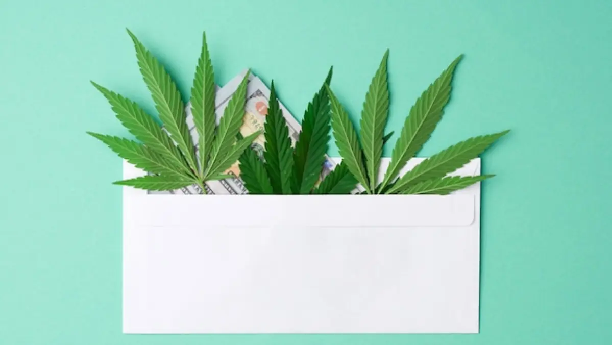 cannabis direct mail campaigns challenges