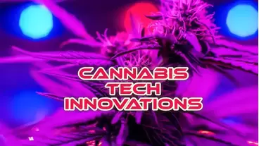 Cannabis Tech Innovations
