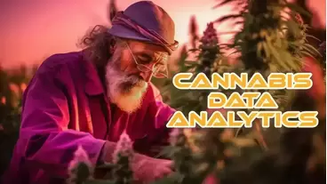 Weed Data Analytics
