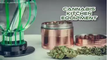 Cannabis Kitchen Equipment