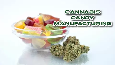 Cannabis-Infused Candy Manufacturing